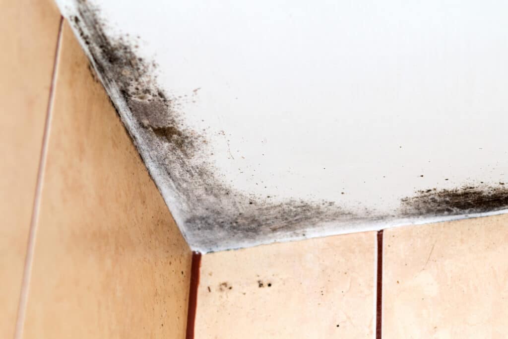 Mould on ceiling in bathroom